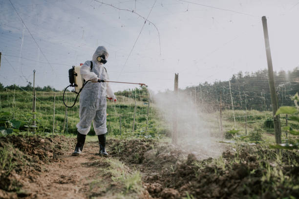 Best Affordable Pest Control Services  in Piedmont, SC