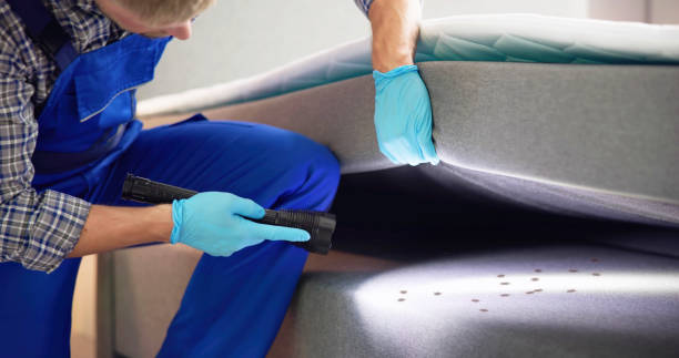 Best Bed Bug Extermination  in Piedmont, SC