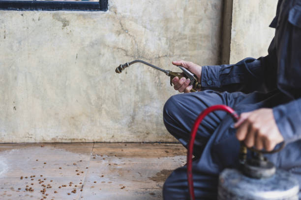 Best Pest Control for Homes  in Piedmont, SC
